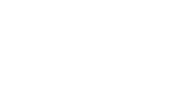 TopLevel EV, Independent EV Service